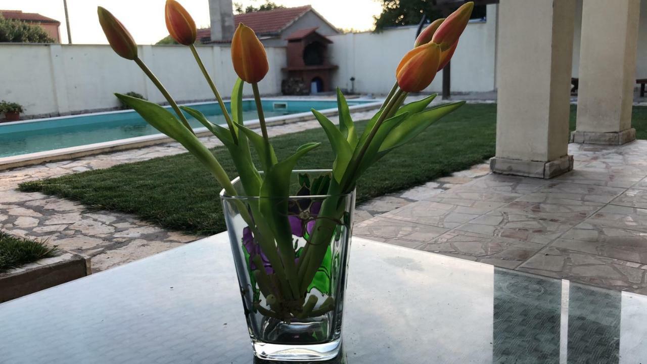 Villa Pistan Murvica  Ngoại thất bức ảnh